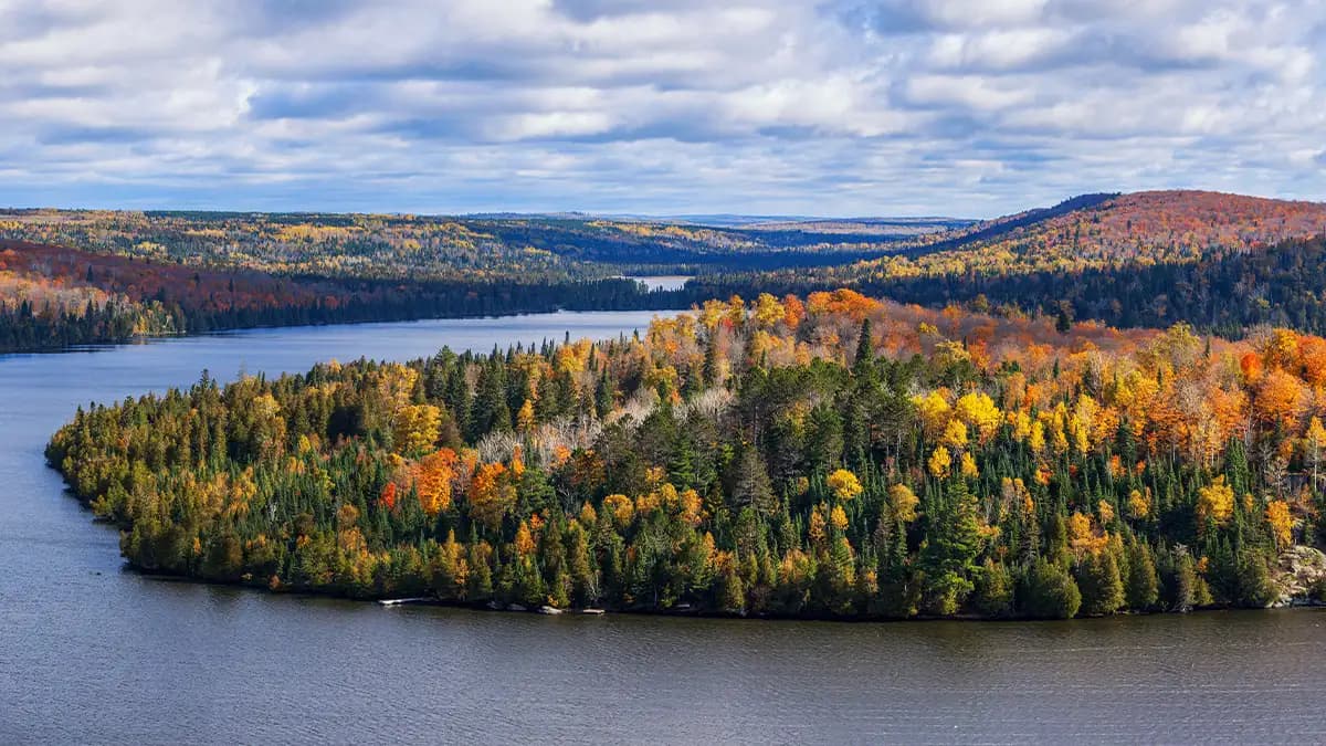 Minnesota landscape