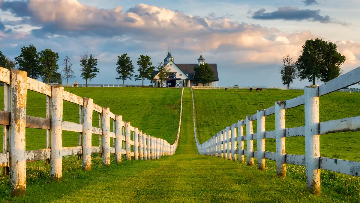 Kentucky landscape