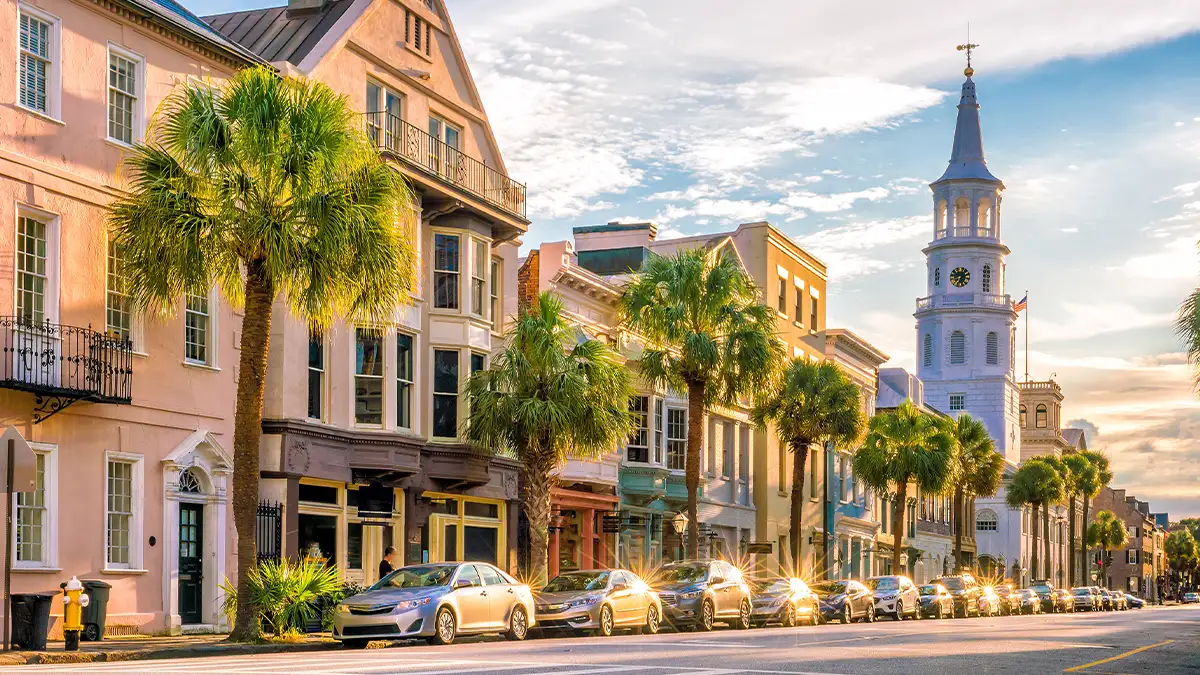 South Carolina landscape