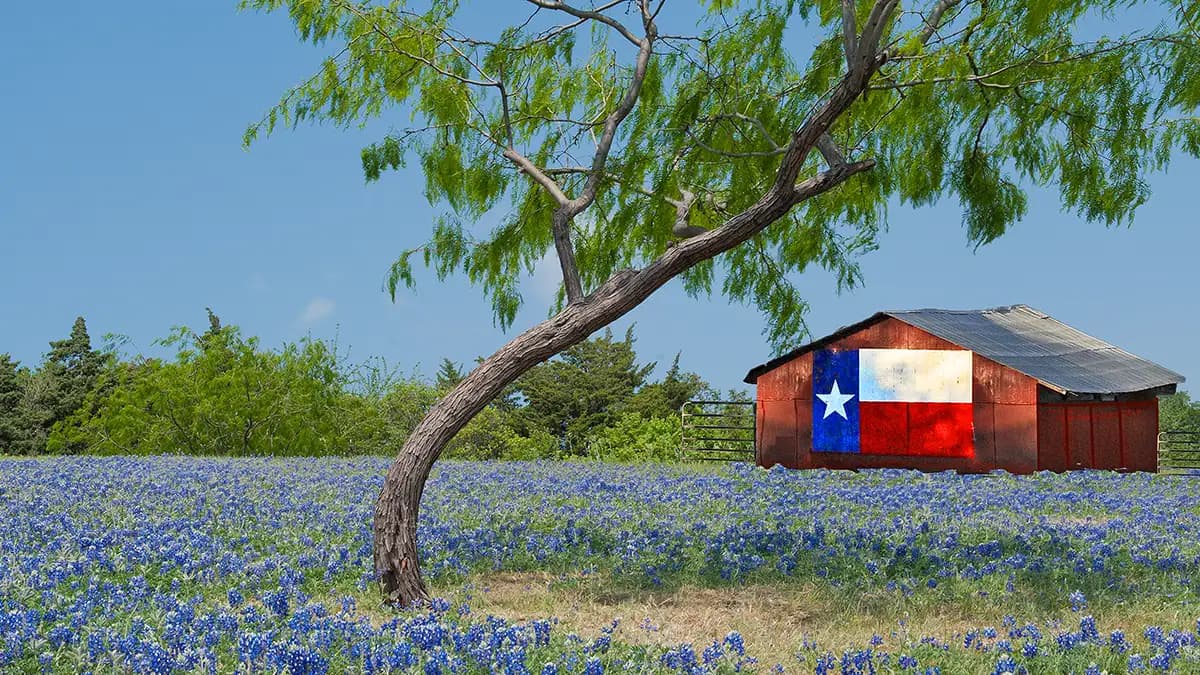 Texas landscape